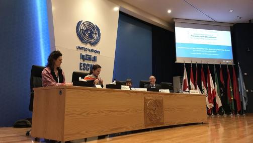CBM presented at the ninth IAEG-SDGs meeting in March 2019