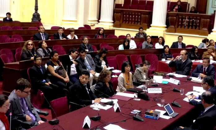 Peru Parliament Session during 2015 Follow up mission