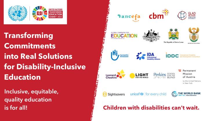 United Nations and Transforming Education Summit 2022. Inclusive, equitable, quality education is for all! Join us on Solutions Day. Transforming Commitments into Real Solutions for Disability-Inclusive Education. September 17, 13:00 to 14:30, Conference 