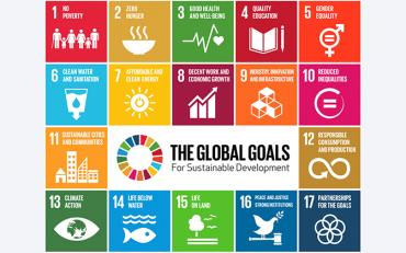 The SDGs