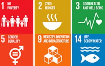 SDG Goals 1, 2, 3, 5, 9 and 14
