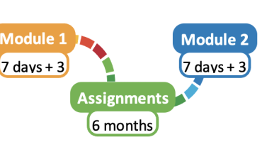 Infographic of Bridge training - it consists of two week long residential modules of 7 days each, with an intervening period of six months within which participants undertake to write a policy paper.