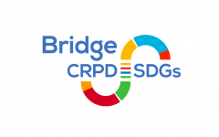 Bridge-SDGs logo