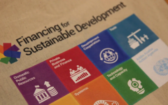 Financing for sustainable development 