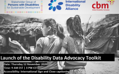 flyer: Launch of the Disability Data Advocacy toolkit, on November 12