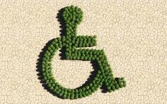 Disability, Displacement, and Climate Action. A draughted land with little forest in shape of wheelchair. 