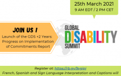 flyer of the GDS+2 years webinar 